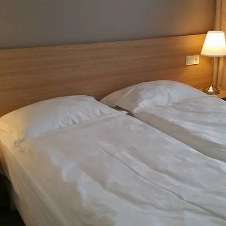 물리 레이캬비크
